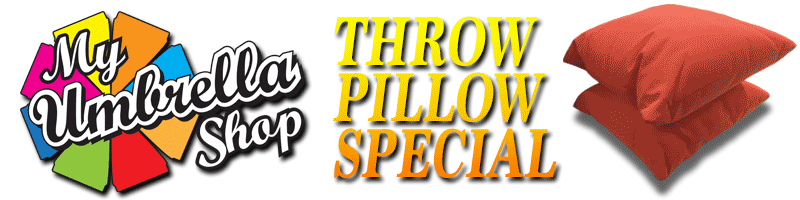 Throw Pillow Special